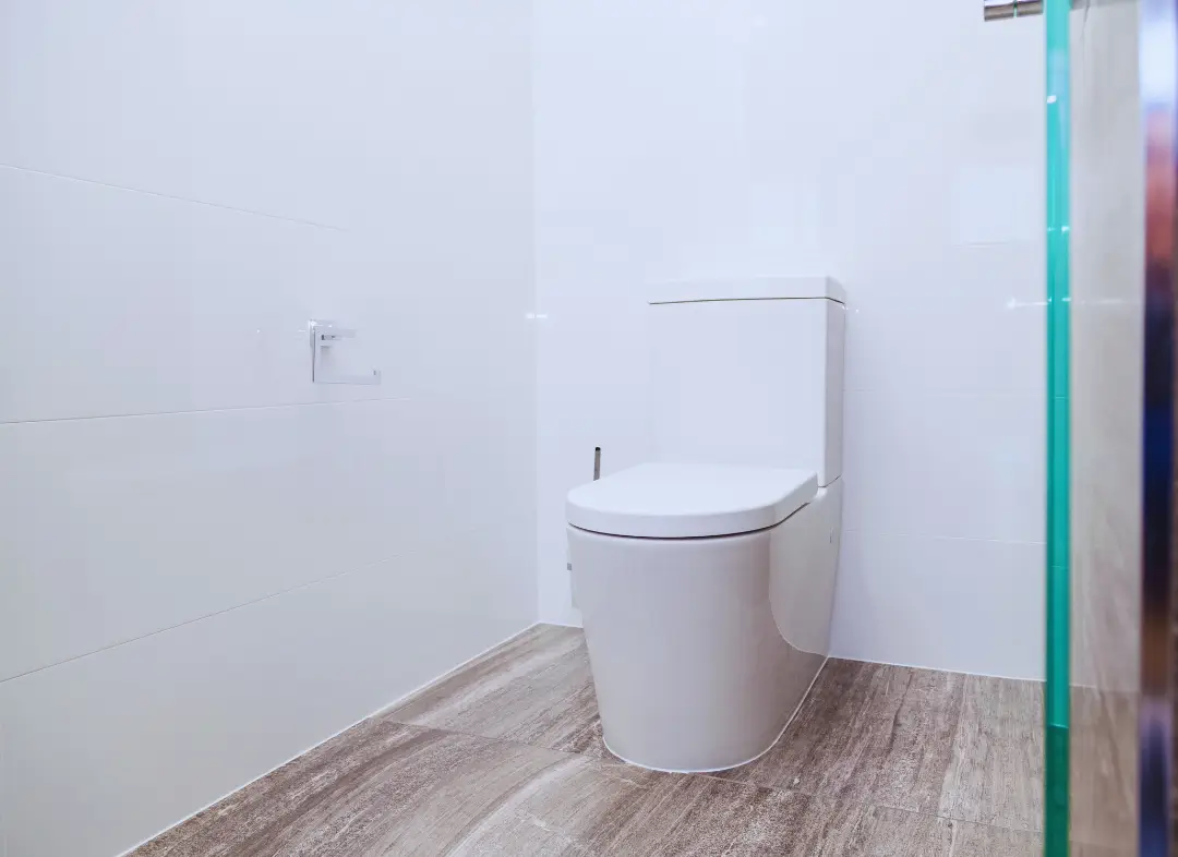 Remplacement de wc Pont-Saint-Esprit